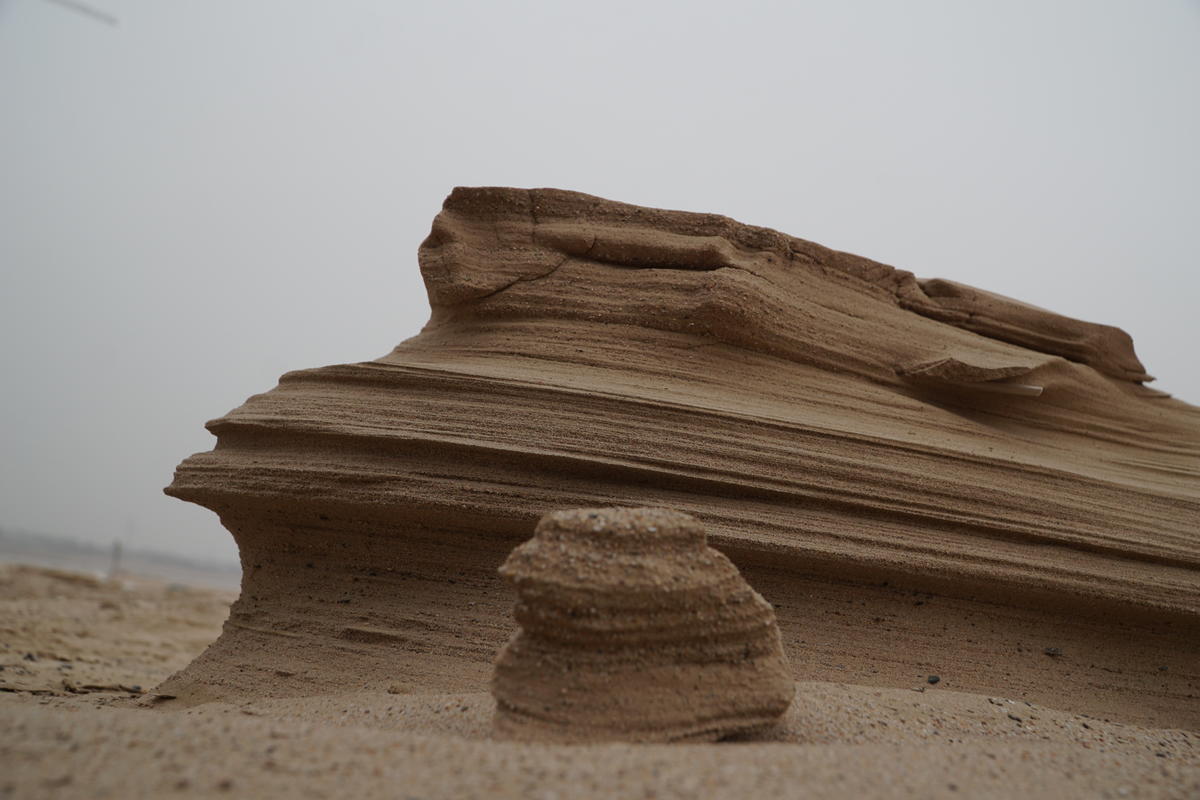沙堆 静物 特写 沙子 无人 贝壳 几何形状 风化
